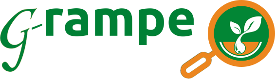 Logotipo de la marca G-Rampe